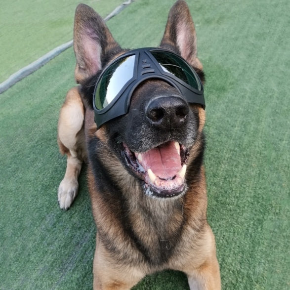 Waterproof Dog Goggles - Snow-Proof Sunglasses for German Shepherds