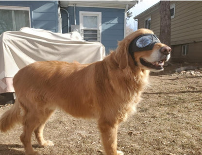 Waterproof Dog Goggles - Snow-Proof Sunglasses for German Shepherds