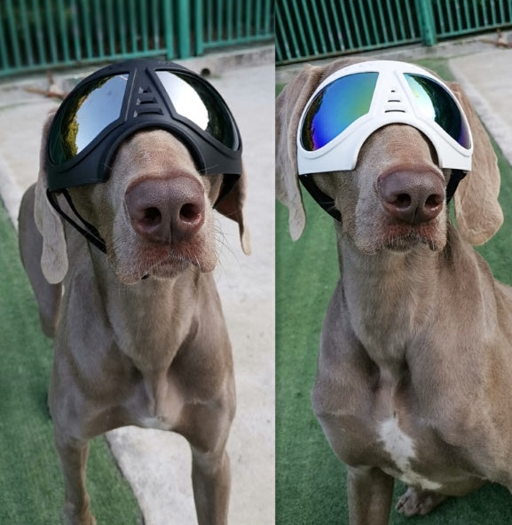 Waterproof Dog Goggles - Snow-Proof Sunglasses for German Shepherds